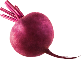 beetroot.png